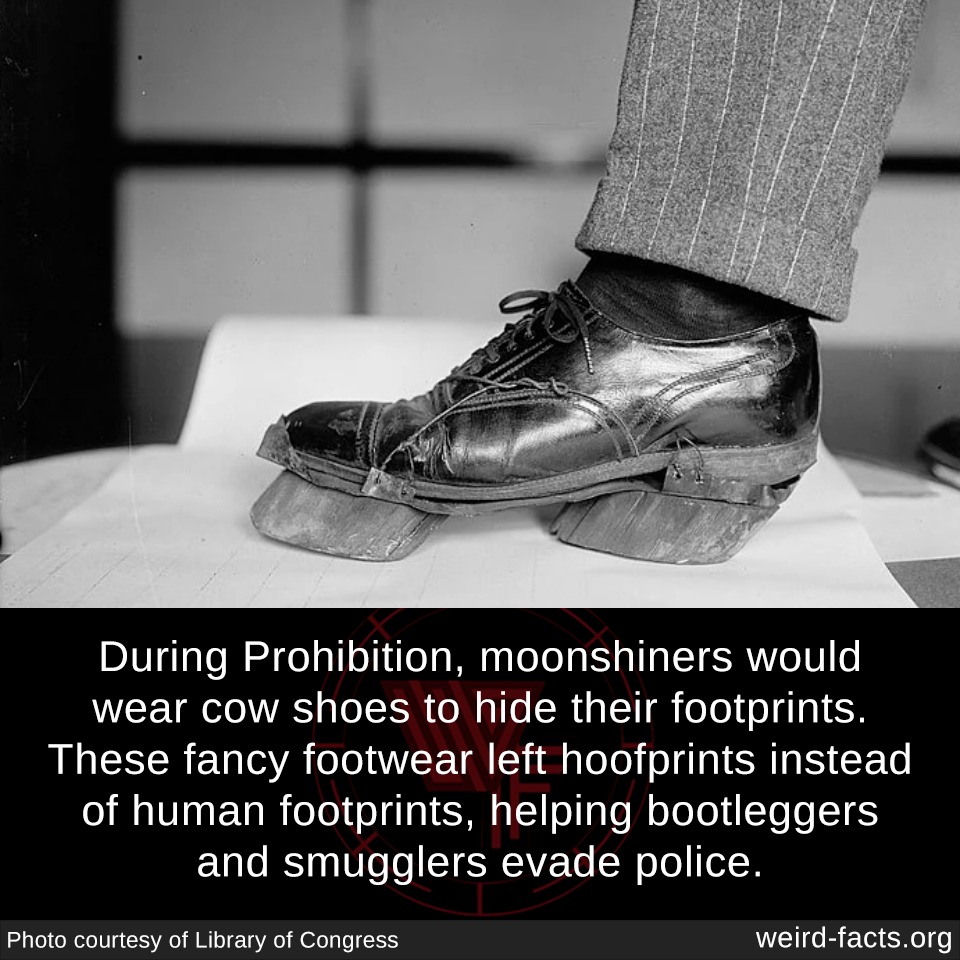 The Footwear that Helped Moonshiners Evade Police