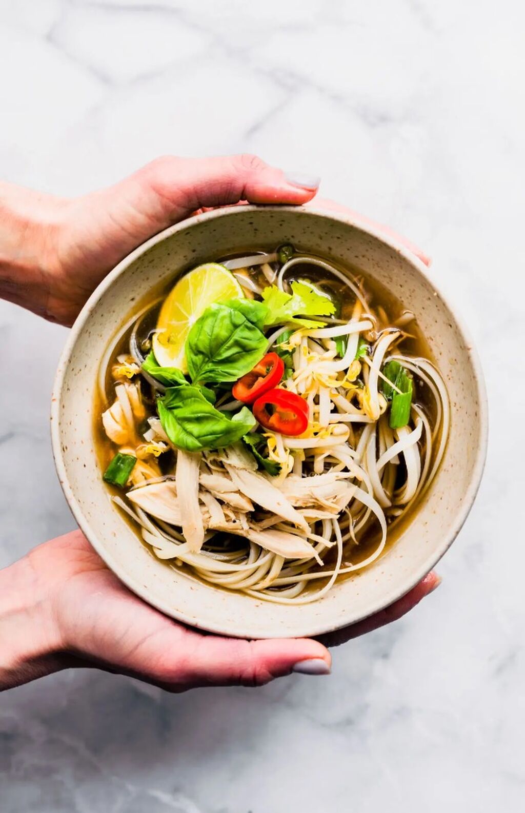 Gluten Free Chicken Pho