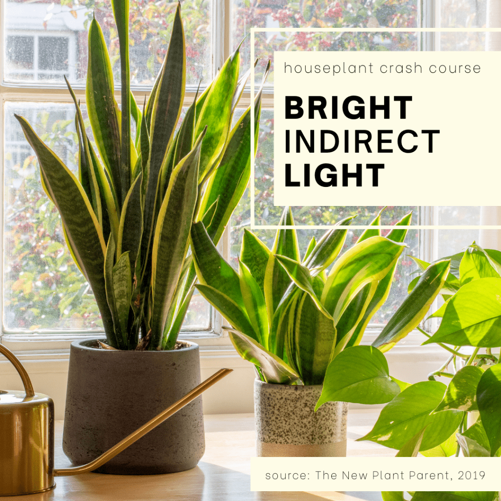 What is bright indirect light