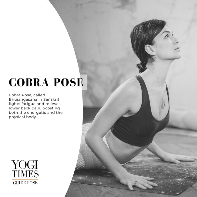 COBRA POSE