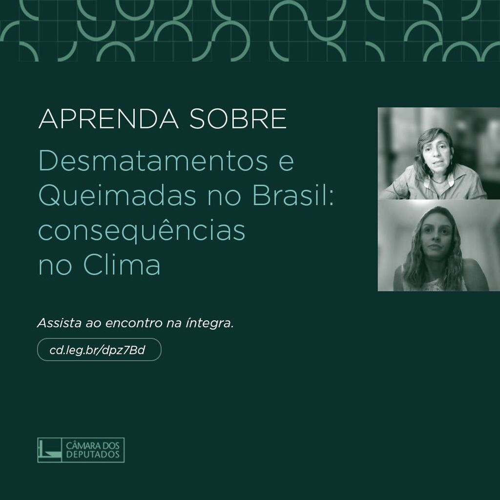 Desmatamentos e Queimadas no Brasil: consequ&ecirc;ncias no Clima