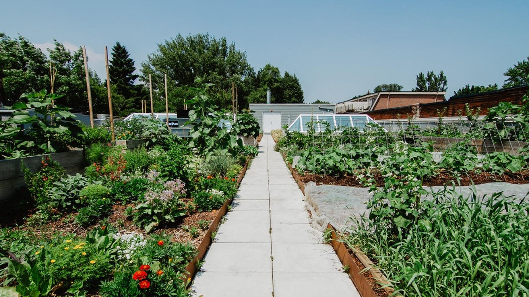 Avling Kitchen, Brewery + Farm
