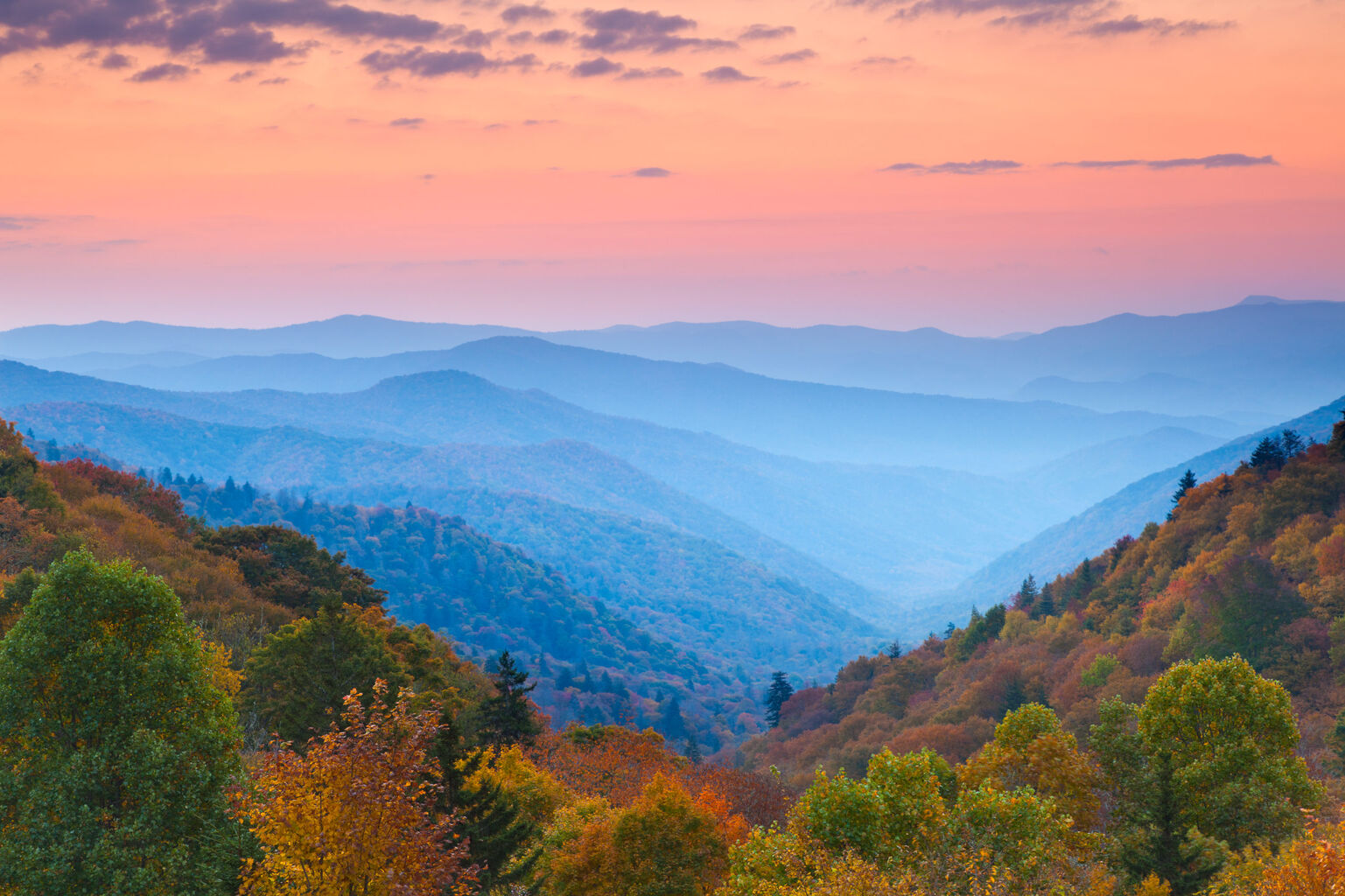 Relocating to Nashville TN? Discover Williamson County - Grove Living