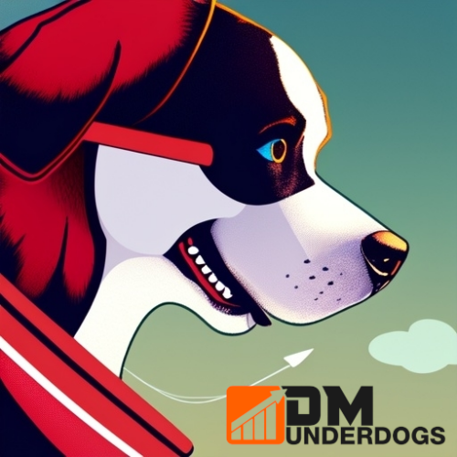 View My Custom Print Shop at DMUnderdogs Custom Prints