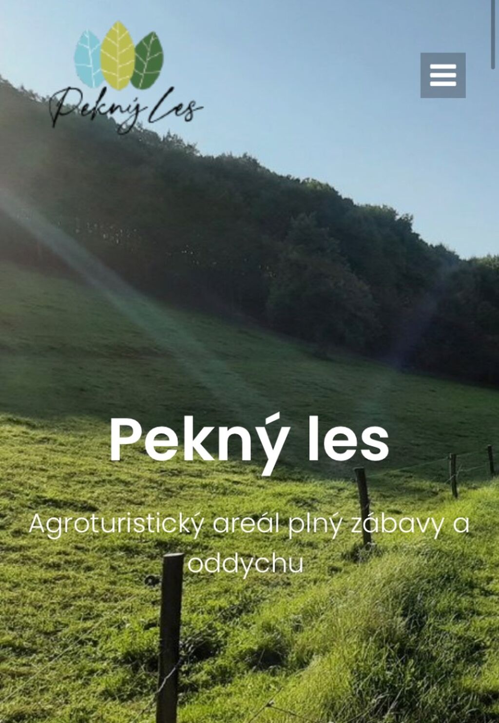 Web Pekn&yacute; les
