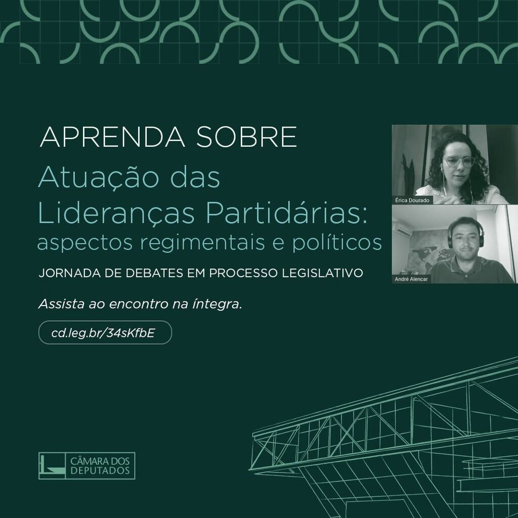Atua&ccedil;&atilde;o das Lideran&ccedil;as Partid&aacute;rias: aspectos regimentais e pol&iacute;ticos 
