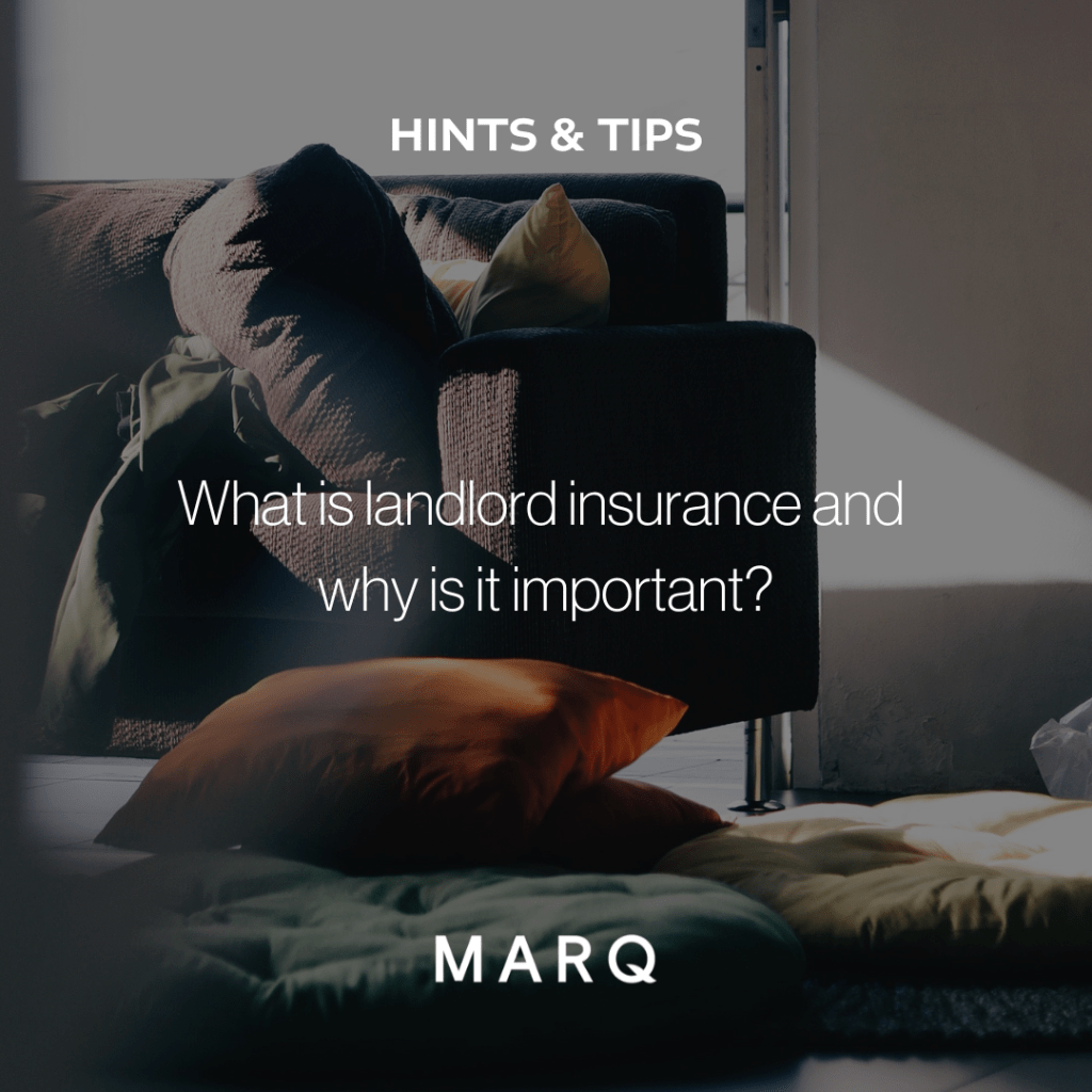 MARQ Insights