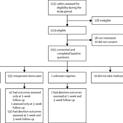 Effectiveness of self-managed medication abortion with accompaniment support in Argentina and Nigeria (SAFE): a prospective, observational cohort study and non-inferiority analysis with historical controls
