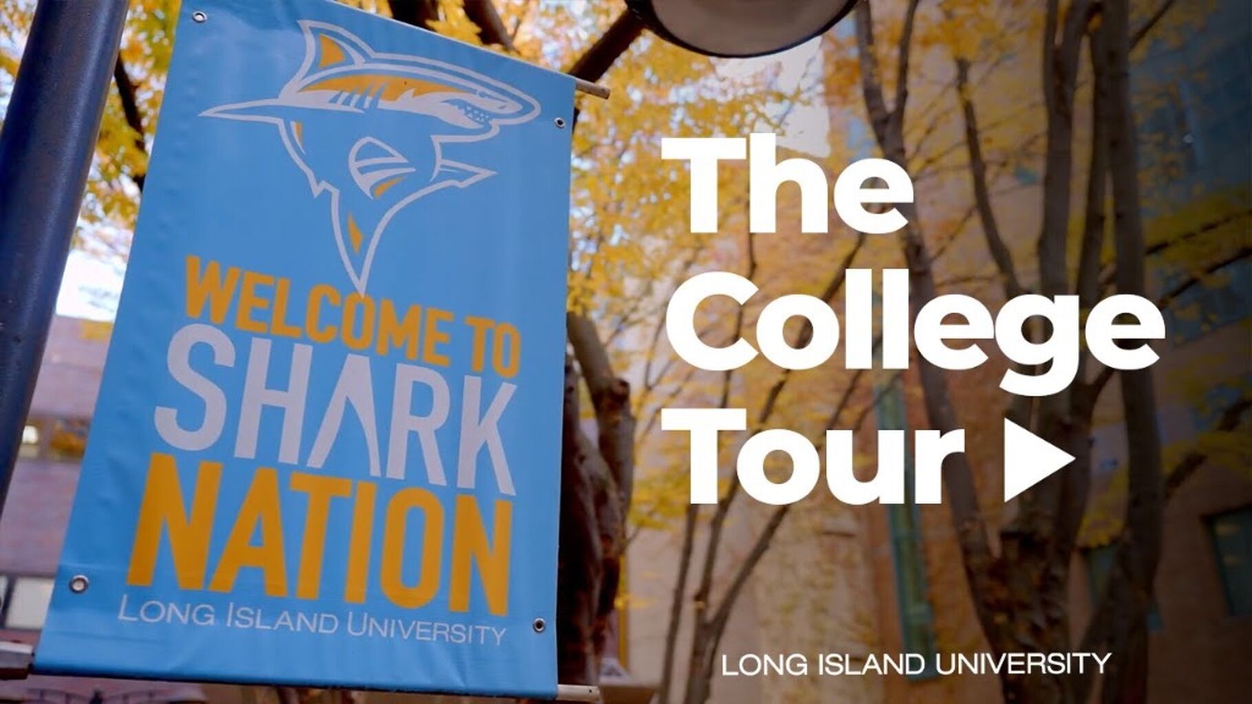 Watch LIU's The College Tour Episode