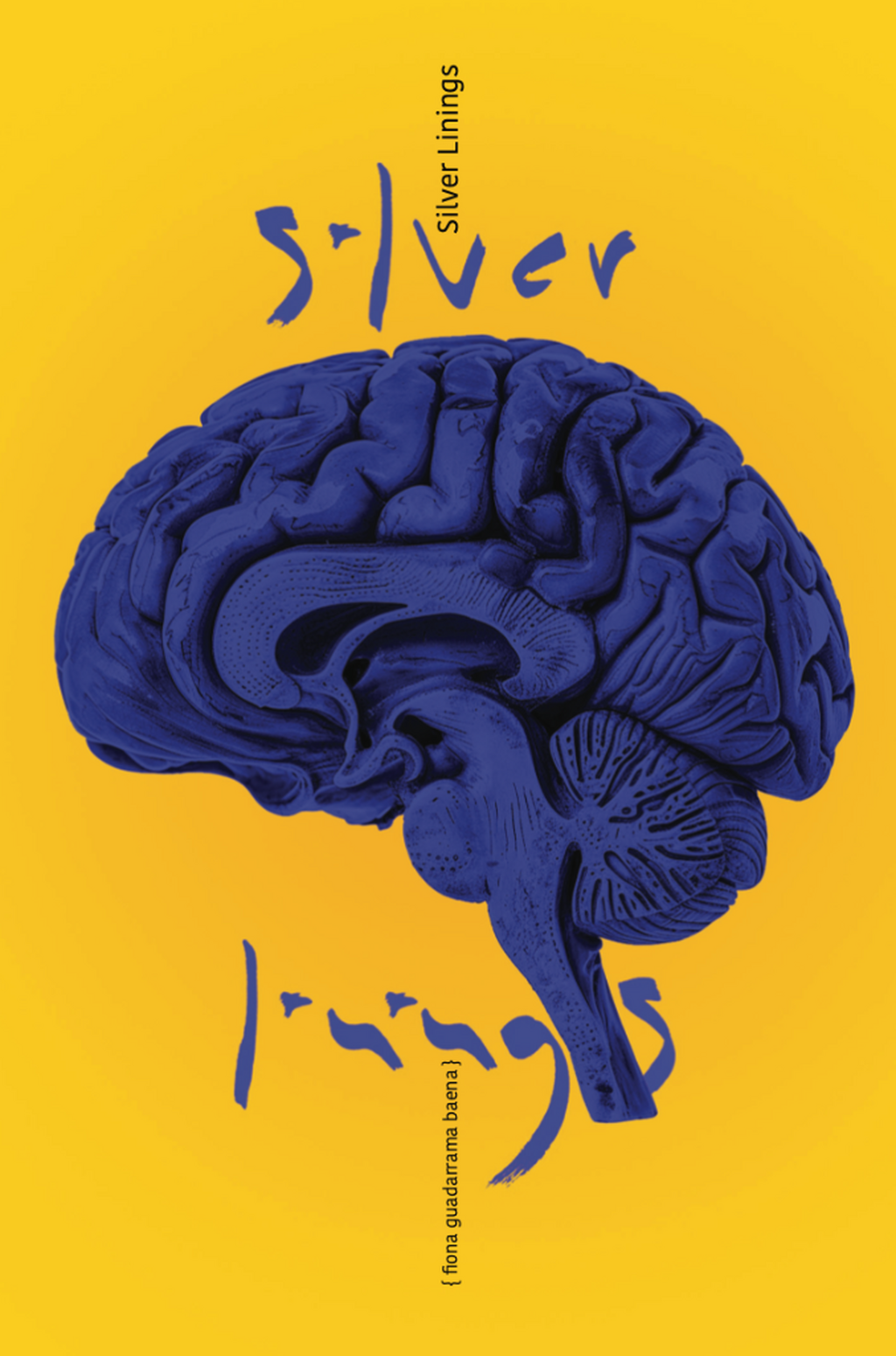 GET MY FIRST BOOK "SILVER LININGS"