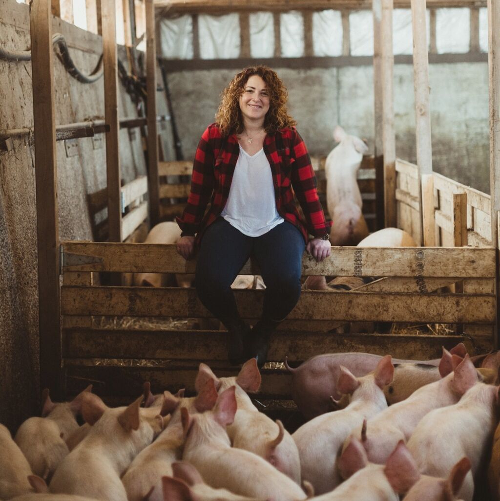 The Breakfast Pig