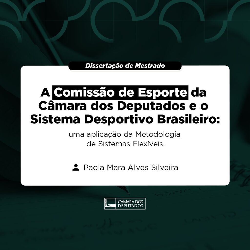A Comiss&atilde;o de Esporte da C&acirc;mara dos Deputados e o Sistema Desportivo Brasileiro: uma aplica&ccedil;&atilde;o da Metodologia de Sistemas Flex&iacute;veis