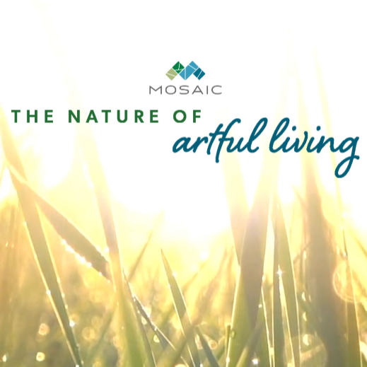 A Nature-Inspired Community