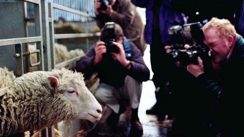 WATCH OUR VIDEO ON DOLLY THE SHEEP 