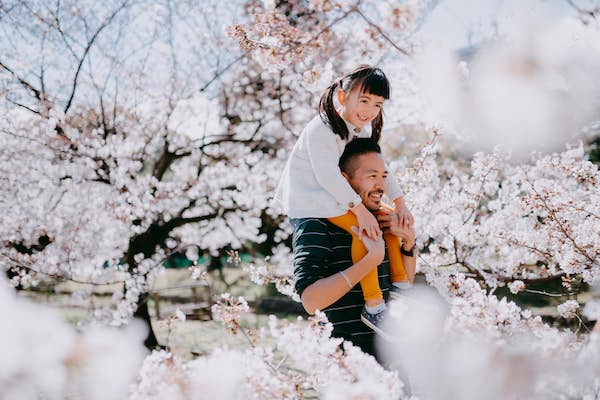 The 5 best places to see Japan&rsquo;s cherry blossoms in 2023
