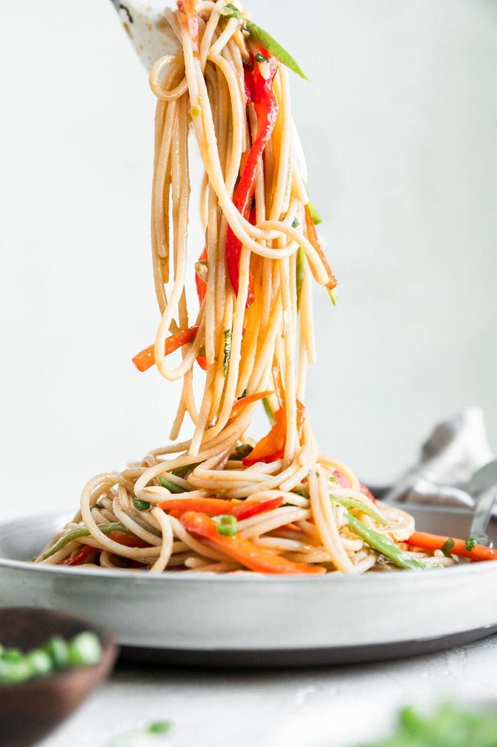 Stir Fry Noodles (Carousel)