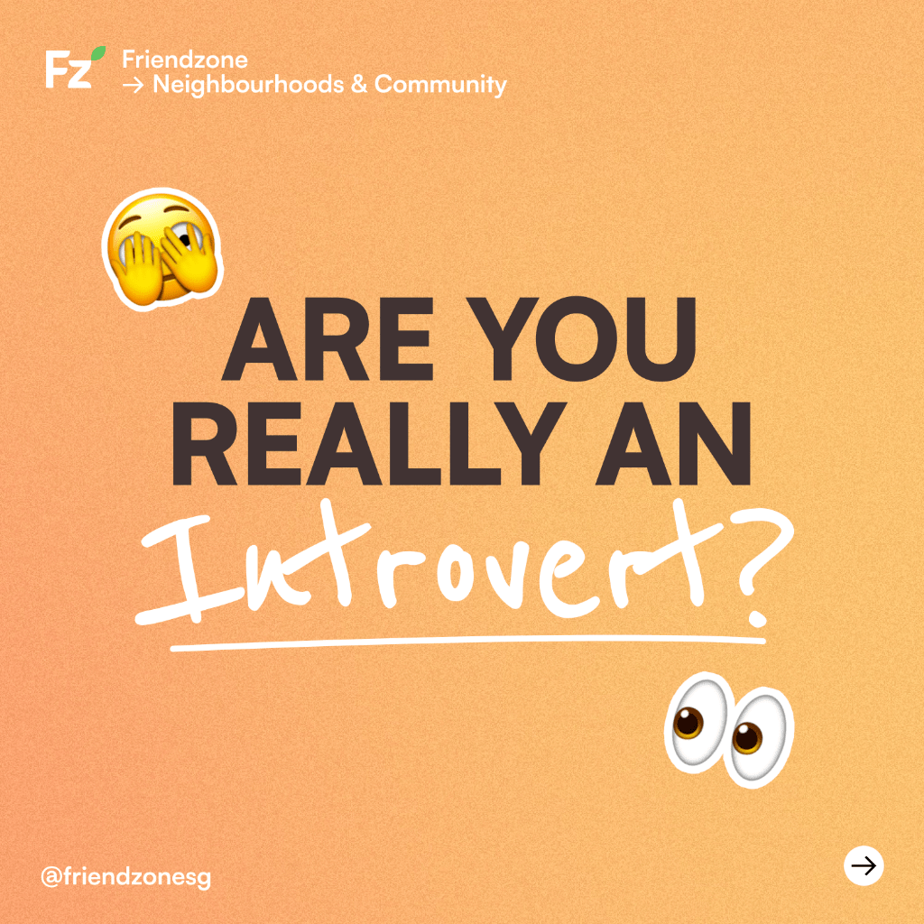BLOG: ARE YOU REALLY AN INTROVERT