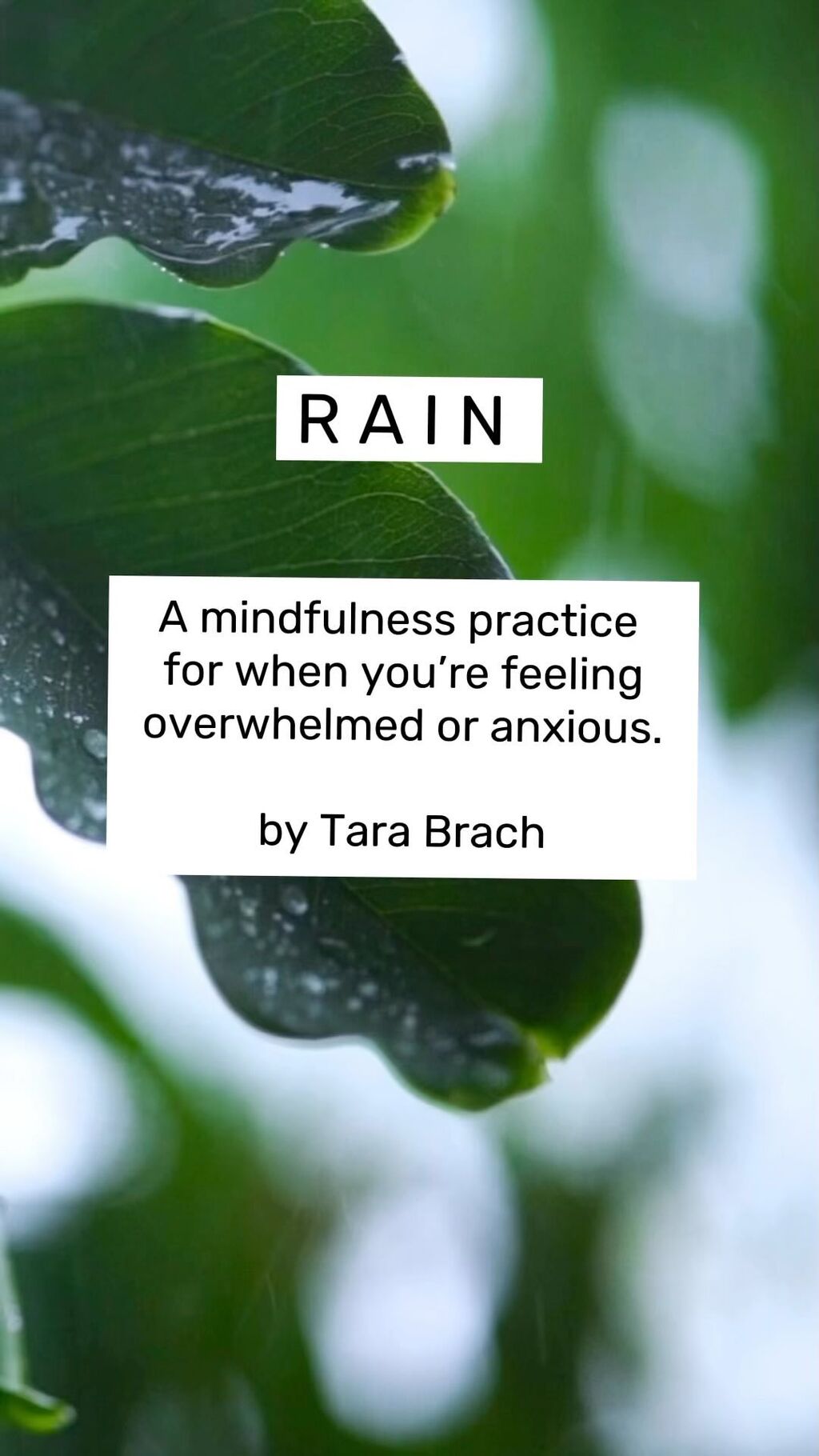Practice the RAIN Meditation with Tara Brach