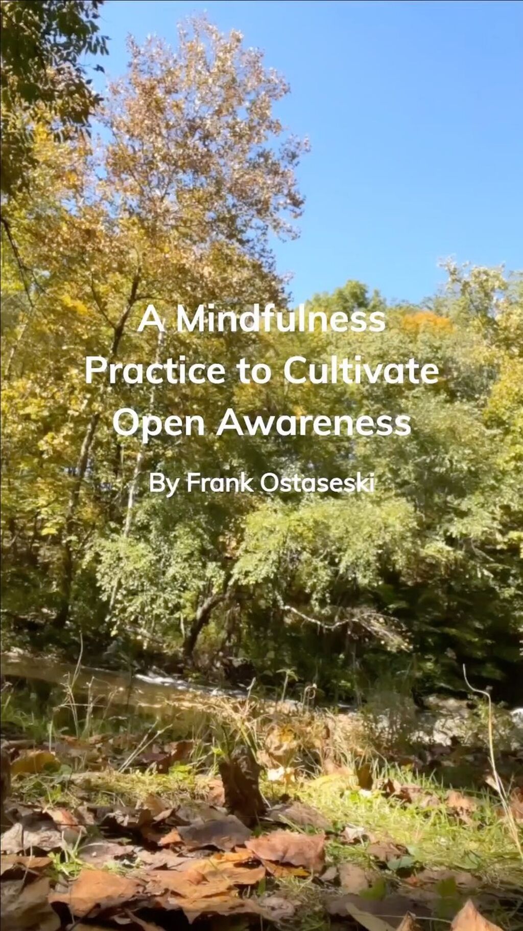 Cultivating Fierce Open Receptivity