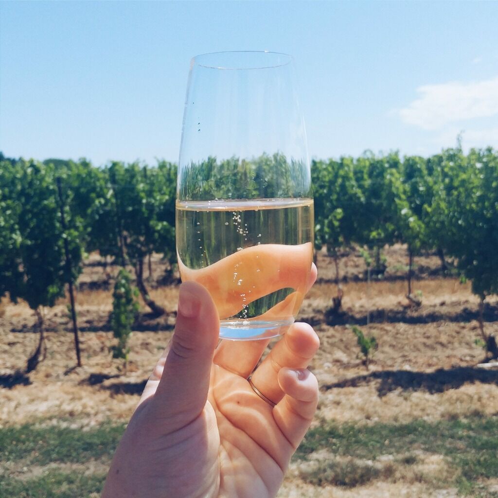 Wine Country Ontario