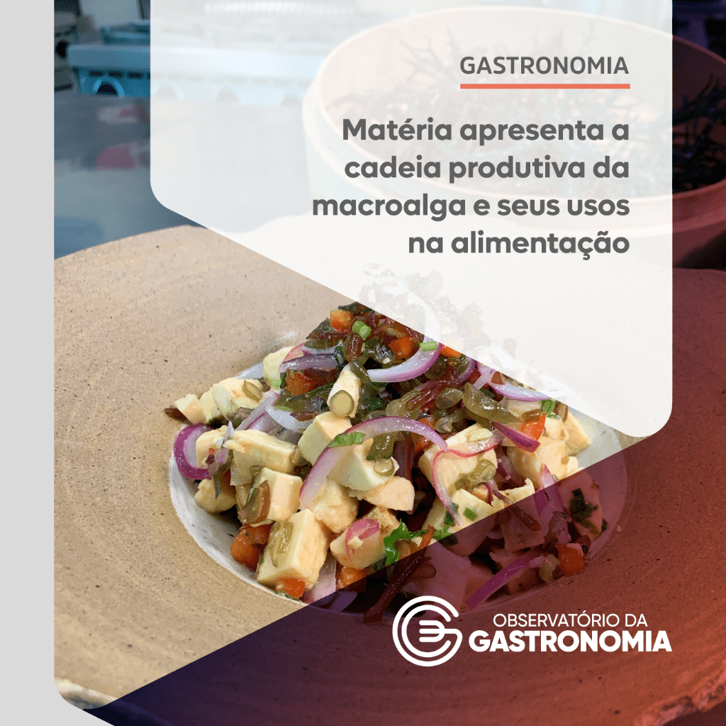 Mat&eacute;ria apresenta a cadeia produtiva da macroalga e seus usos na alimenta&ccedil;&atilde;o