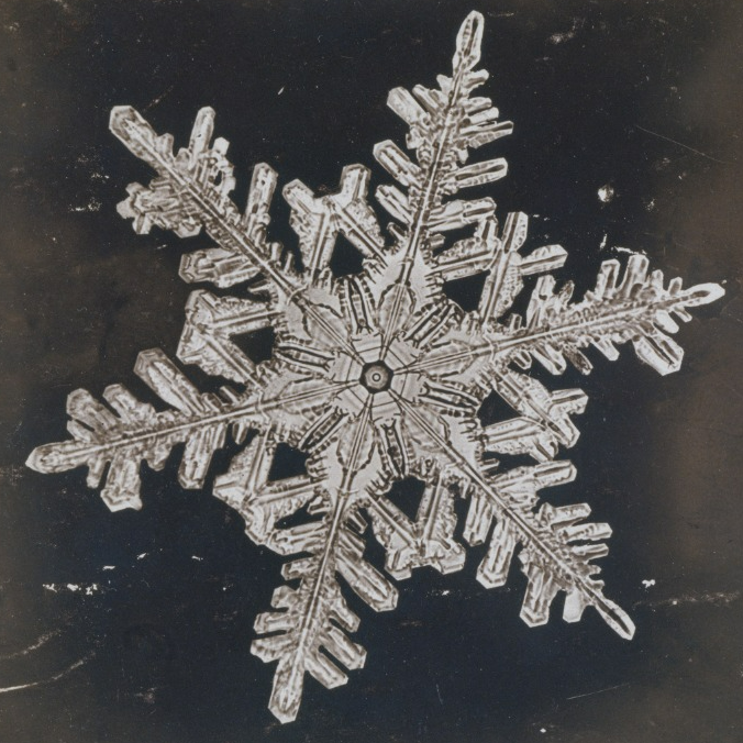 Wilson Alwyn Bentley Snowflakes