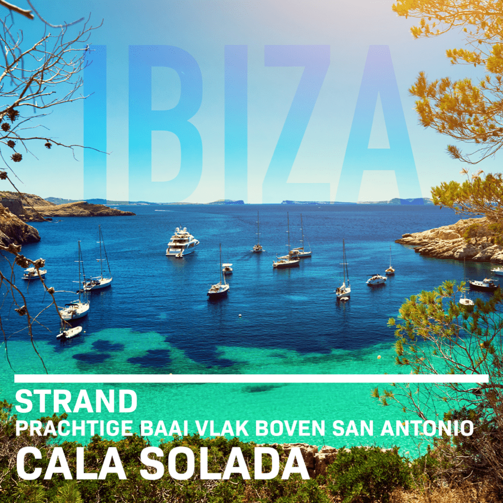 Ibiza Bruist - Cala Salada