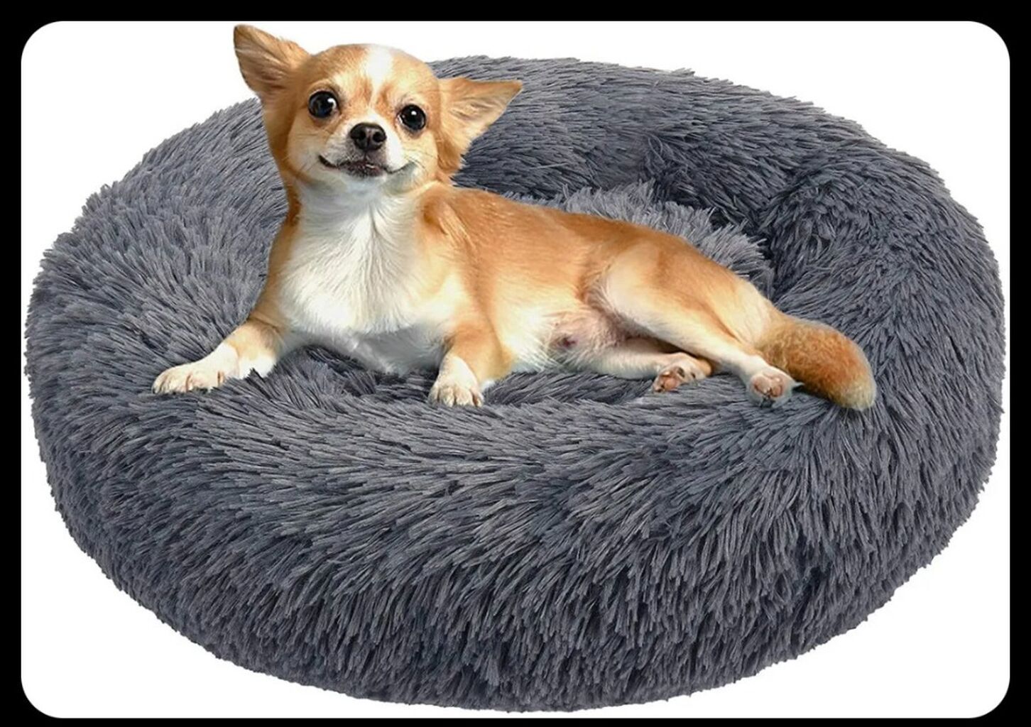 Cama Estilo Donut Para Perritos Chiquitos 🛏