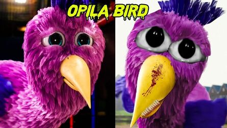 opila bird sad origin story