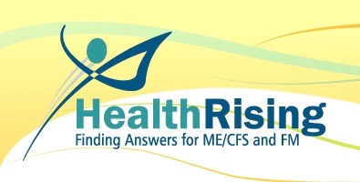 Article About My Work On &ldquo;Health Rising&rdquo;