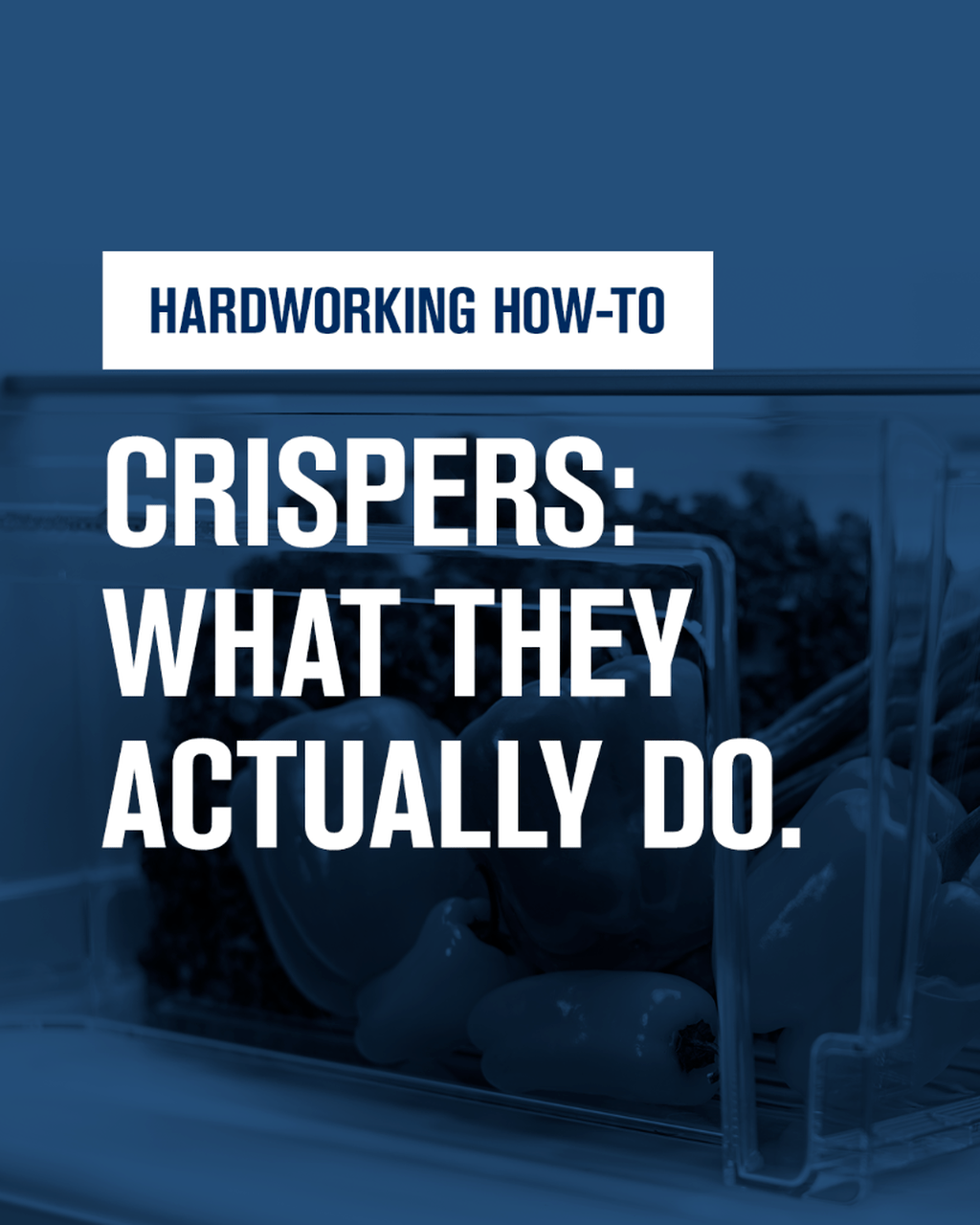 Hardworking How-To: Using Your Crisper Drawer
