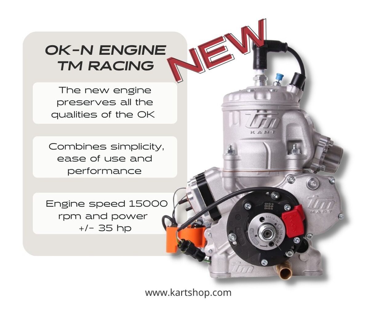 OK-N Engine from TM Racing