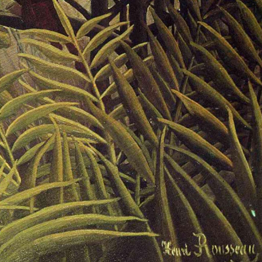 Apes In The Orange Grove