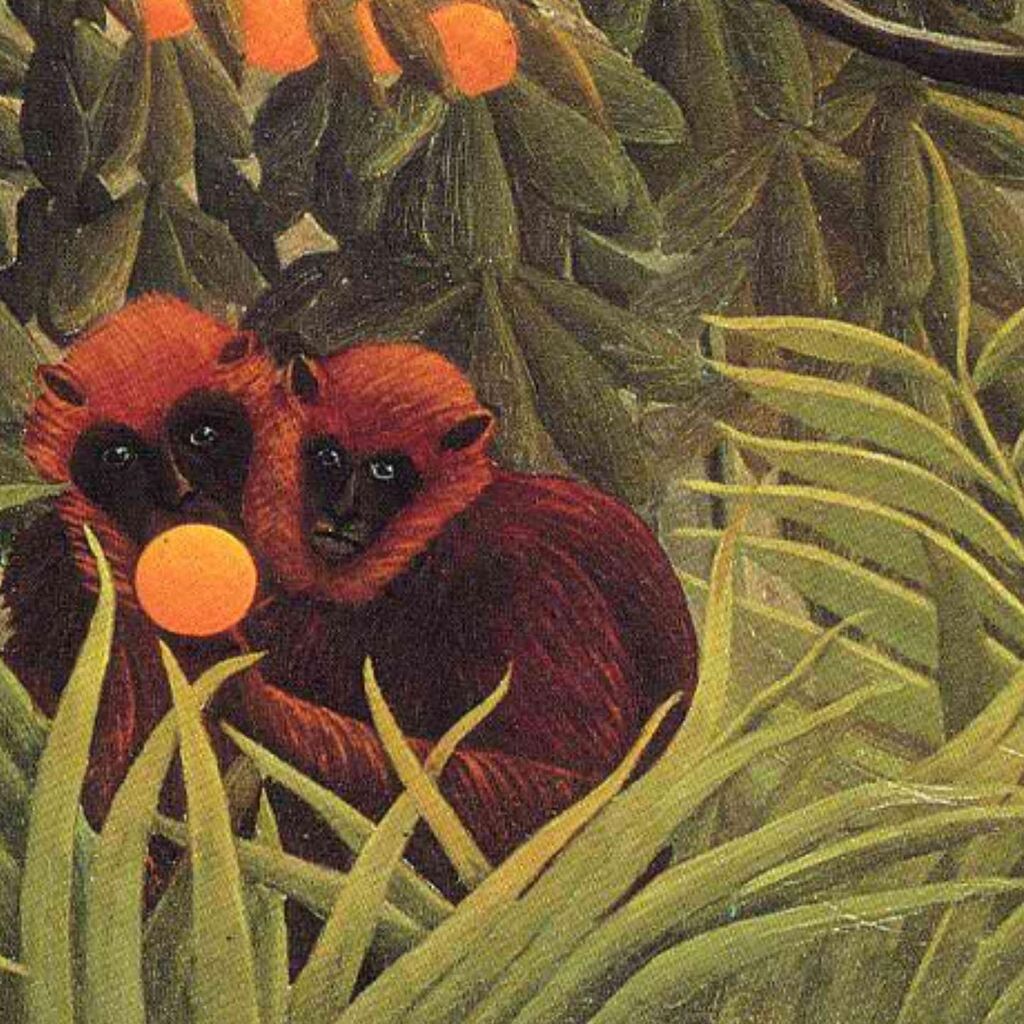 Apes In The Orange Grove
