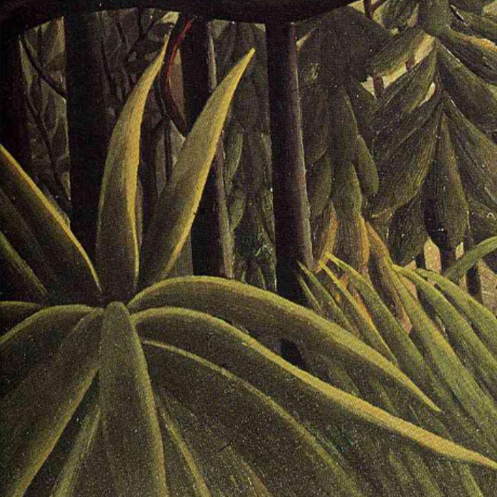 Apes In The Orange Grove