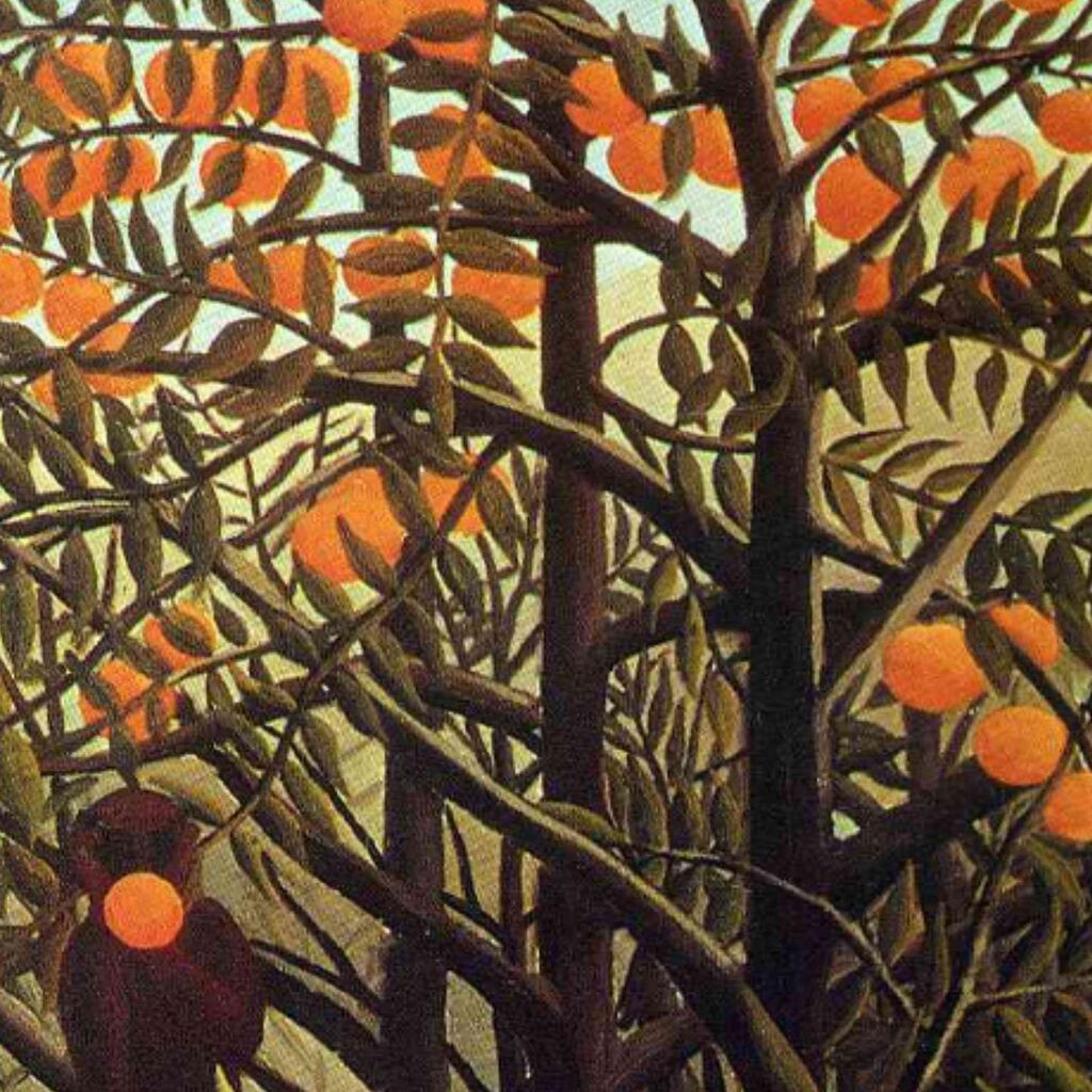 Apes In The Orange Grove