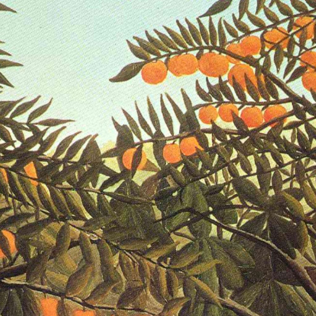 Apes In The Orange Grove