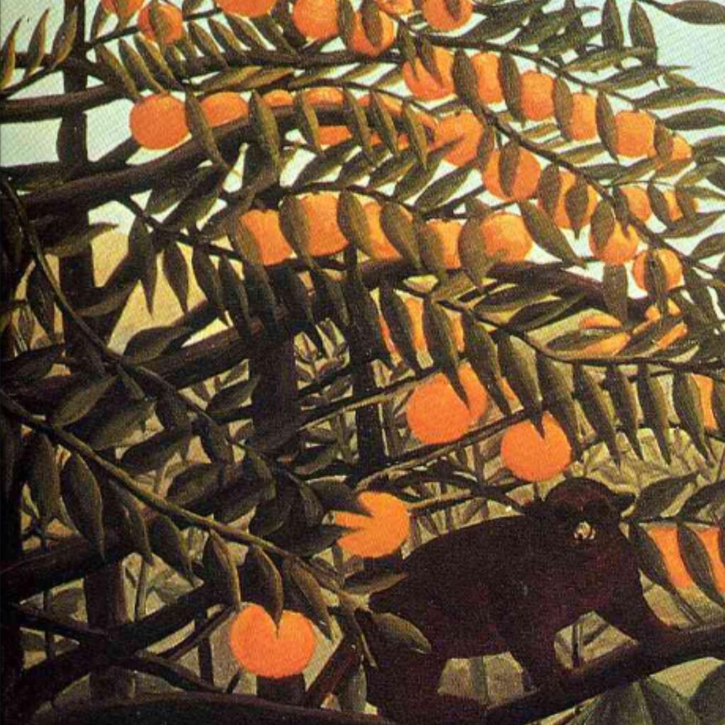 Apes In The Orange Grove