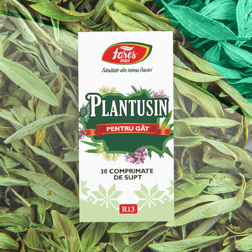 GAMA PLANTUSIN