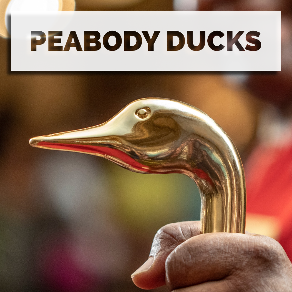 The Peabody Ducks