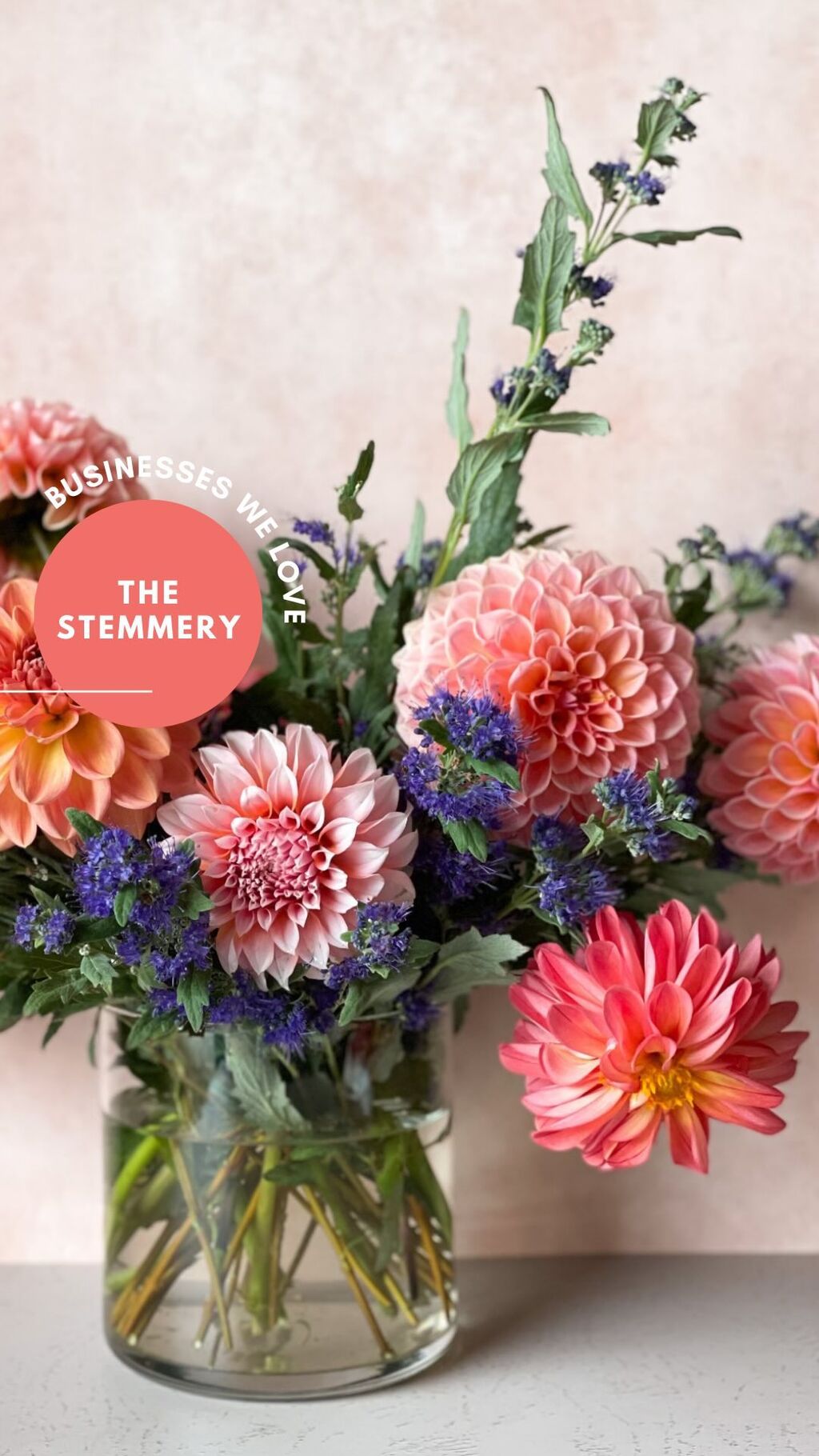 The Stemmery - Businesses We Love!