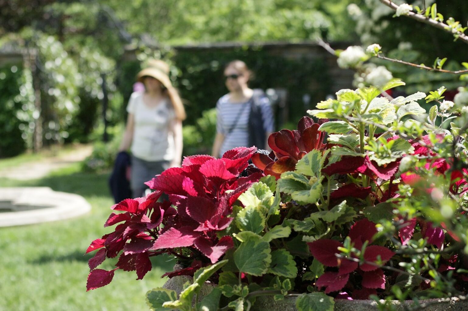 Purchase a Garden Season Pass