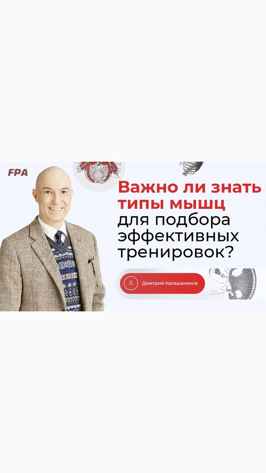 разные мышцы