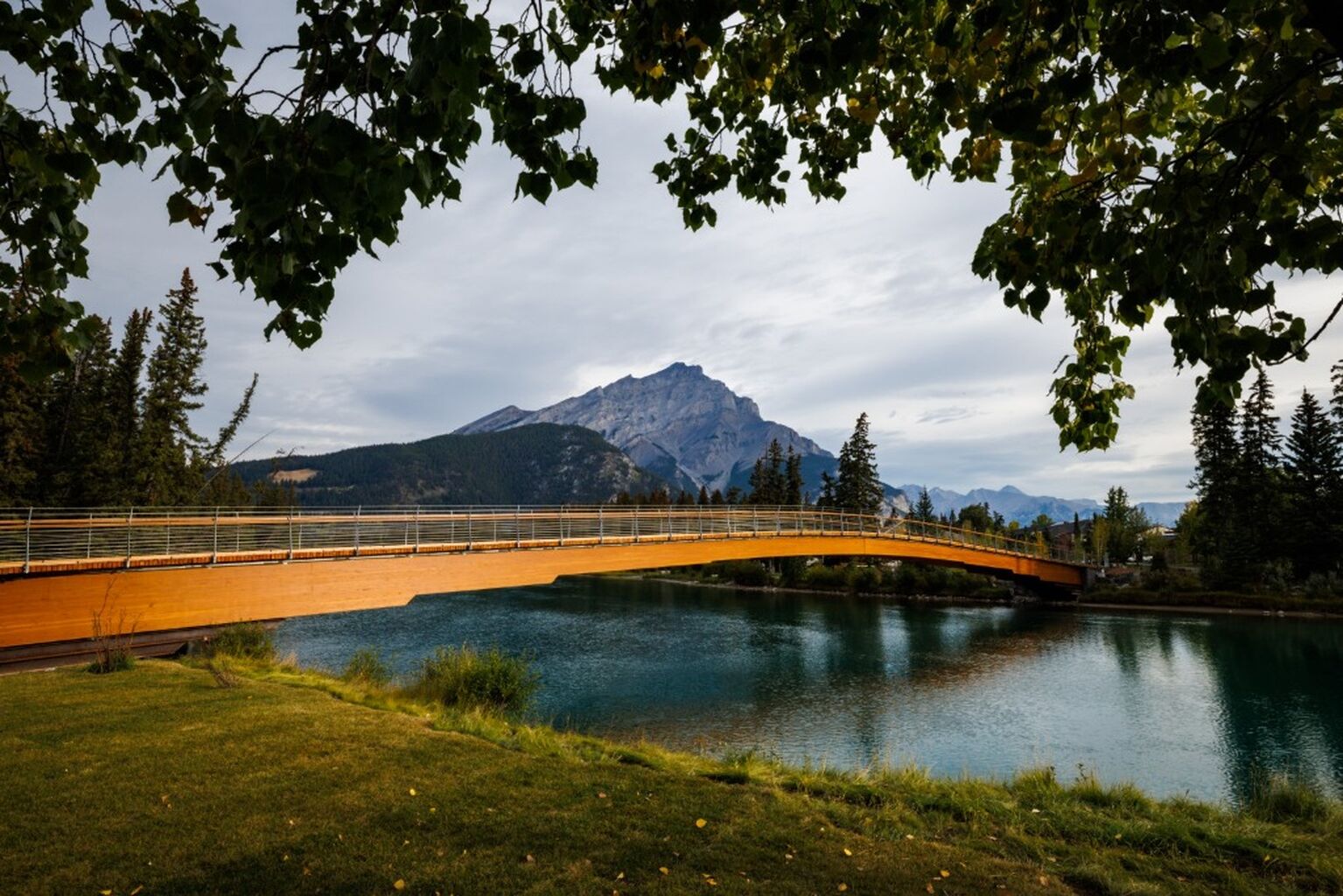 Nancy Pauw Bridge Video