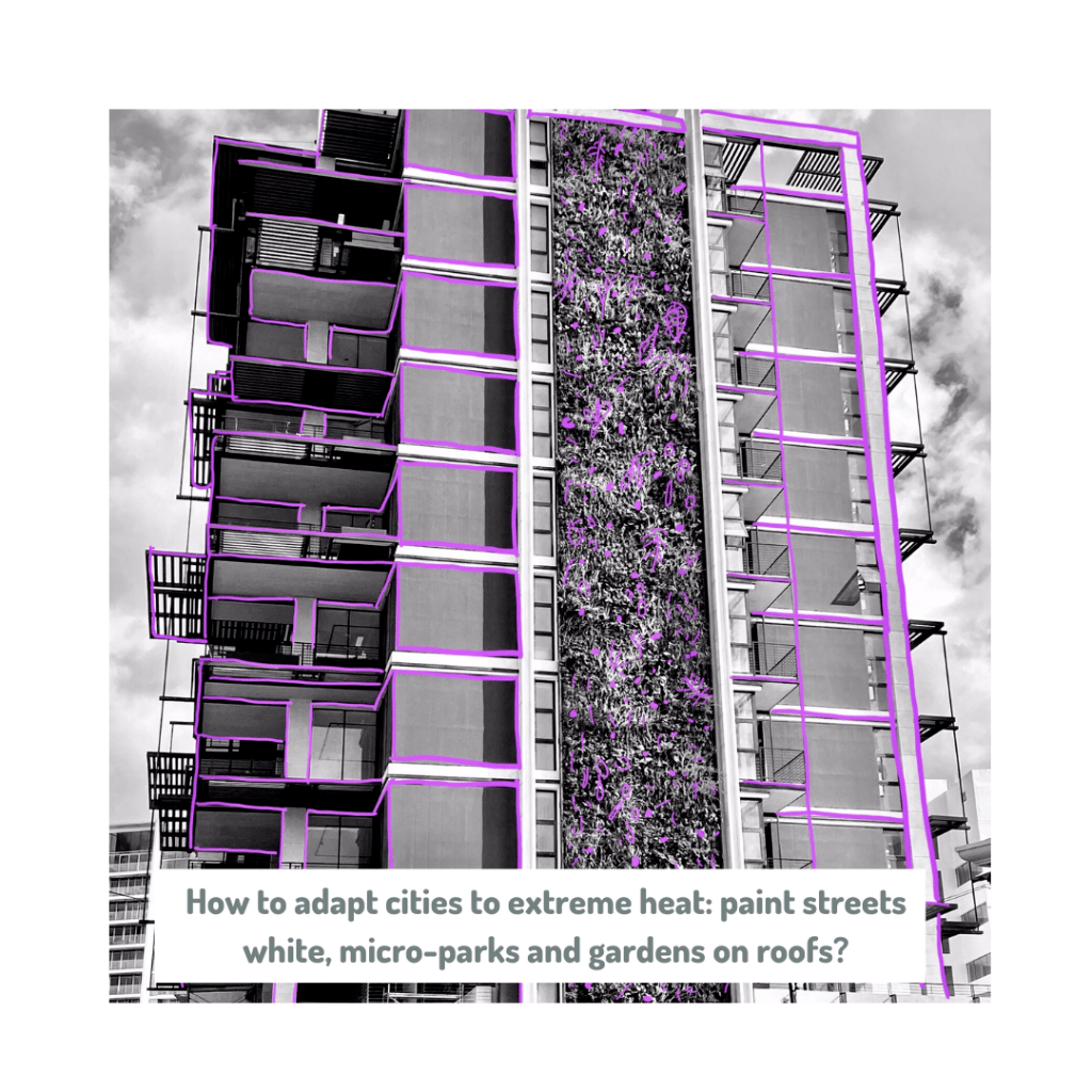 How to adapt cities to extreme heat: paint streets white, micro-parks and gardens on roofs?