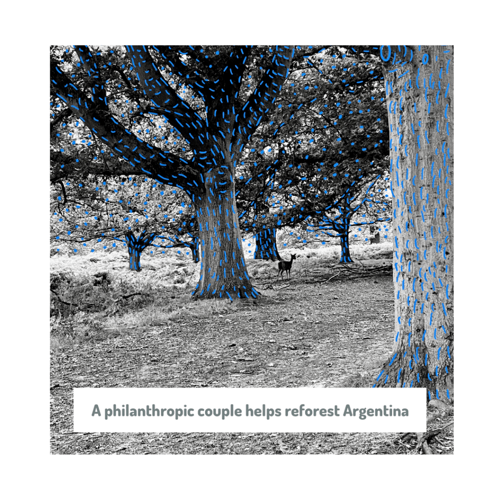 A philanthropic couple helps reforest Argentina 