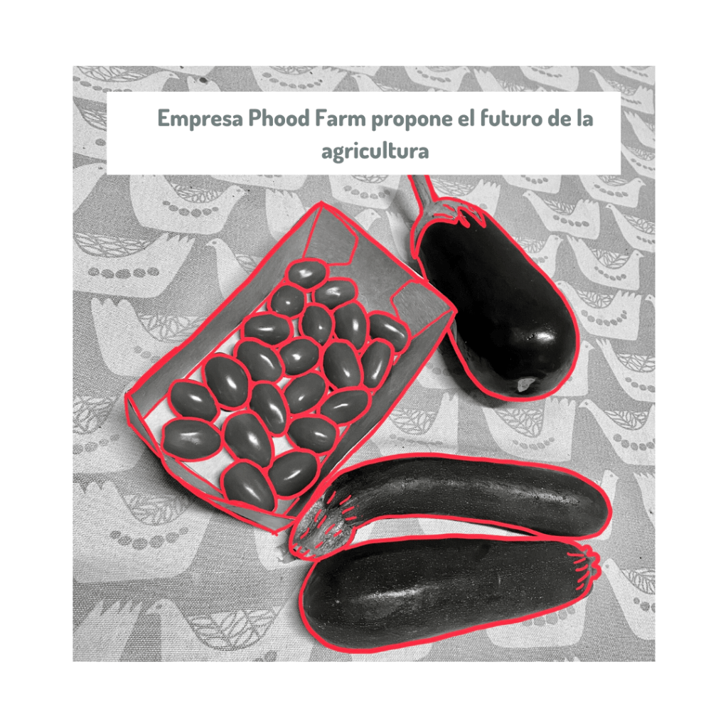 Phood Farm company innovates in agriculture