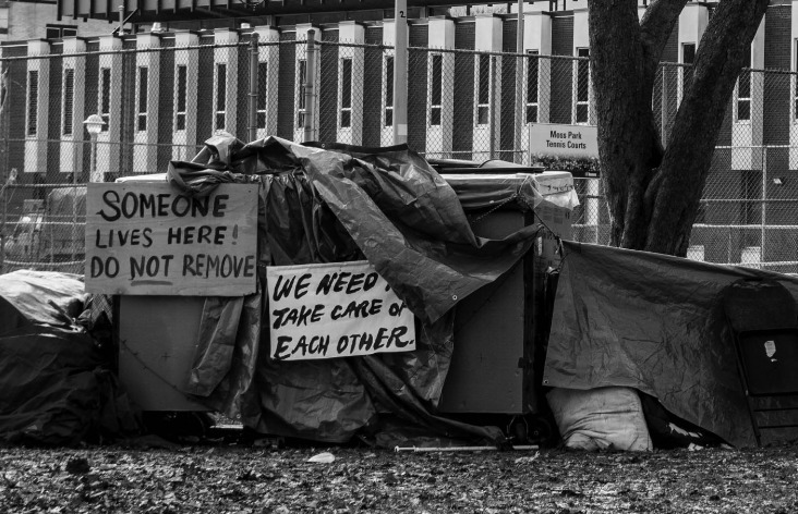 Literary Review of Canada: Crisis Mismanagement
