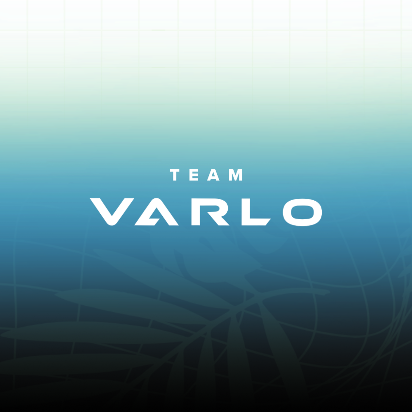 TEAM VARLO 