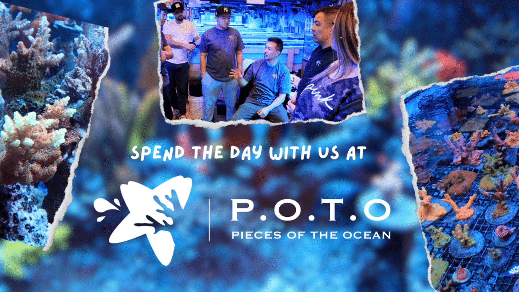 YouTube: POTO - A Day in the Life (Pt 1)